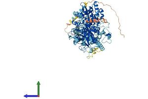 AlphaFold protein structure predicition of Mouse Recombinant Extl3 Protein, UniprotID Q9WVL6
