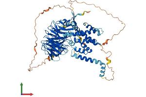 Protein Structure (PS) image for Katanin P80 (WD Repeat Containing) Subunit B 1 (KATNB1) (AA 1-655) protein (His tag) (ABIN7554404)