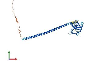 Protein Structure (PS) image for C-Type Lectin Domain Family 9, Member A (CLEC9A) (AA 1-241) protein (His tag) (ABIN7553390)