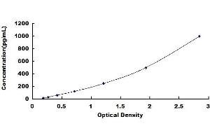 Typical standard curve (ANG ELISA 试剂盒)