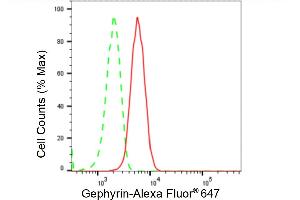 Flow cytometric analysis of Gephyrin expression in HT- cells using Gephyrin antibody (ABIN7798712), 1:2,000). (Recombinant Gephyrin 抗体)
