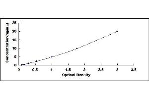 Typical standard curve (RFTN1 ELISA 试剂盒)