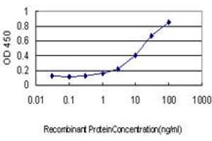 Detection limit for recombinant GST tagged PSMD10 is approximately 0. (PSMD10 抗体  (AA 127-226))