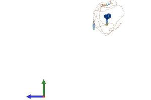 AlphaFold protein structure predicition of Human Recombinant CCDC62 Protein, UniprotID Q6P9F0 (CCDC62 Protein (AA 1-684) (His tag))