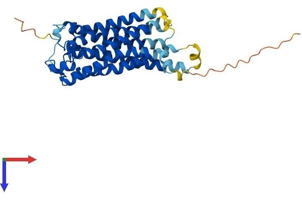 TBXA2R Protein (AA 1-343) (His tag)