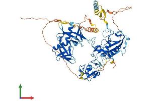 Protein Structure (PS) image for E3 Ubiquitin-protein ligase DTX1 (DTX1) (AA 1-620) protein (His tag) (ABIN7553744)
