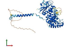 Protein Structure (PS) image for Solute Carrier Family 3 (Activators of Dibasic and Neutral Amino Acid Transport), Member 2 (SLC3A2) (AA 1-526) protein (His tag) (ABIN7562831)
