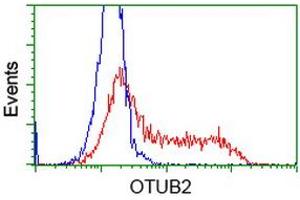 HEK293T cells transfected with either RC209650 overexpress plasmid (Red) or empty vector control plasmid (Blue) were immunostained by anti-OTUB2 antibody (ABIN2453411), and then analyzed by flow cytometry. (OTUB2 抗体)