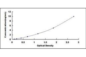 Typical standard curve (SLC30A1 ELISA 试剂盒)