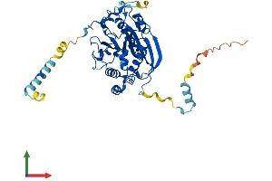 AlphaFold protein structure predicition of Human Recombinant B4GALT3 Protein, UniprotID O60512