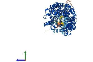 Protein Structure (PS) image for Solute Carrier Family 6 (Neurotransmitter Transporter, Noradrenalin), Member 2 (SLC6A2) (AA 1-617) protein (His tag) (ABIN7562494)