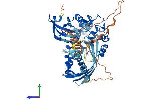 Protein Structure (PS) image for Calcium/calmodulin-Dependent Protein Kinase II gamma (CAMK2G) (AA 1-529) protein (His tag) (ABIN7564858)