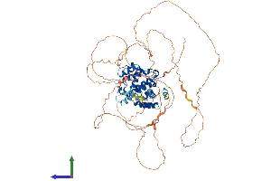 AlphaFold protein structure predicition of Mouse Recombinant Tagap Protein, UniprotID B2RWW0
