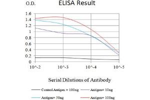 Black line: Control Antigen (100 ng),Purple line: Antigen (10 ng), Blue line: Antigen (50 ng), Red line:Antigen (100 ng) (Albumin 抗体  (AA 410-609))