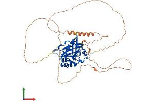Protein Structure (PS) image for CTD (Carboxy-Terminal Domain, RNA Polymerase II, Polypeptide A) Small Phosphatase Like 2 (CTDSPL2) (AA 1-466) protein (His tag) (ABIN7546780)