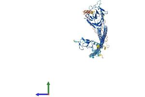 Protein Structure (PS) image for Tripartite Motif Containing 26 (TRIM26) (AA 1-539) protein (His tag) (ABIN7544587)