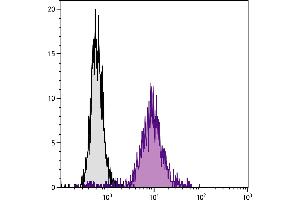 Mouse pre-B cell line 18-81 was stained with Rat Anti-Mouse CD71-BIOT. (Transferrin Receptor 抗体  (Biotin))