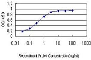 Detection limit for recombinant GST tagged ALS2 is approximately 0. (ALS2 抗体  (AA 221-320))