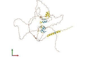 Protein Structure (PS) image for Sp9 Transcription Factor (SP9) (AA 1-484) protein (His tag) (ABIN7557860)