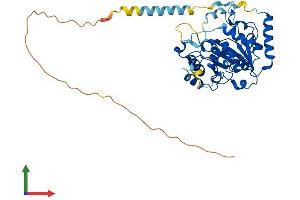 Protein Structure (PS) image for ST3 beta-Galactoside alpha-2,3-Sialyltransferase 5 (ST3GAL5) (AA 1-414) protein (His tag) (ABIN7562667)