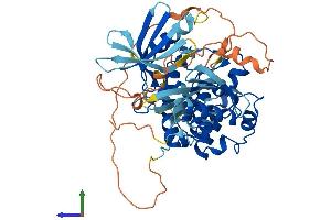 Protein Structure (PS) image for Checkpoint Kinase 1 (CHEK1) (AA 1-476) protein (His tag) (ABIN7562295)