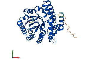 Protein Structure (PS) image for N-Acetylneuraminate Pyruvate Lyase (Dihydrodipicolinate Synthase) (NPL) (AA 1-320) protein (His tag) (ABIN7549815)