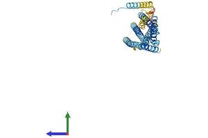 Protein Structure (PS) image for Syntaxin 16 (STX16) (AA 1-325) protein (His tag) (ABIN7544041)