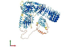 AlphaFold protein structure predicition of Human Recombinant NLRP13 Protein, UniprotID Q86W25