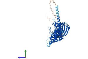 AlphaFold protein structure predicition of Mouse Recombinant Fkbp4 Protein, UniprotID P30416