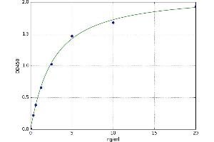 A typical standard curve