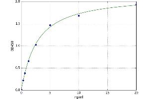A typical standard curve (HFE2 ELISA 试剂盒)
