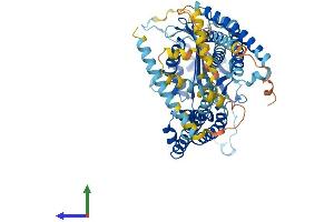 Protein Structure (PS) image for Polycystic Kidney Disease 2-Like 2 (PKD2L2) (AA 1-624) protein (His tag) (ABIN7550850)