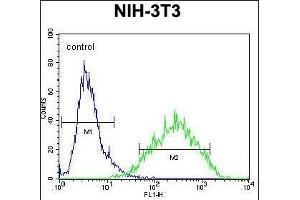RAN Antibody (Center) (ABIN652226 and ABIN2840946) flow cytometric analysis of NIH-3T3 cells (right histogram) compared to a negative control cell (left histogram).