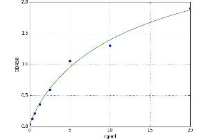 A typical standard curve