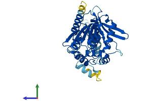 Protein Structure (PS) image for Abhydrolase Domain Containing 6 (ABHD6) (AA 1-337) protein (His tag) (ABIN7551824)