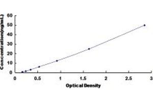 Typical standard curve (PLA2G3 ELISA 试剂盒)