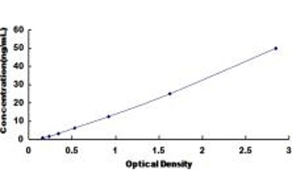 PLA2G3 ELISA 试剂盒