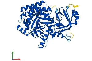 Protein Structure (PS) image for Guanine Deaminase (GDA) (AA 1-454) protein (His tag) (ABIN7556208)