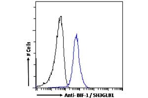 (ABIN184621)-P1 Flow cytometric analysis of paraformaldehyde fixed A431 cells (blue line), permeabilized with 0. (SH3GLB1 抗体  (C-Term))