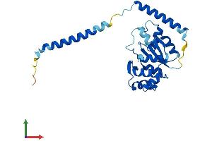 Protein Structure (PS) image for Ribosomal Protein L7-Like 1 (RPL7L1) (AA 1-246) protein (His tag) (ABIN7561128)
