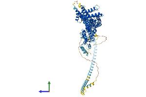 Protein Structure (PS) image for RAD50 Interactor 1 (RINT1) (AA 1-792) protein (His tag) (ABIN7555234)
