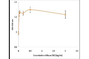 Activity Assay (AcA) image for Chemokine (C-X-C Motif) Ligand 2 (CXCL2) (Active) protein (ABIN5509437) (CXCL2 蛋白)