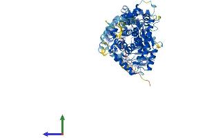 Protein Structure (PS) image for Kell Blood Group, Metallo-Endopeptidase (KEL) (AA 1-713) protein (His tag) (ABIN7561397)