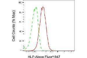 Flow cytometric analysis of HLF expression in HepG2 cells using HLF antibody (ABIN7798888), 1:2,000).