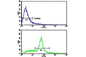 Flow cytometric analysis of WiDr cells using KITLG polyclonal antibody (bottom histogram) compared to a negative control cell (top histogram). (KIT Ligand 抗体  (C-Term))