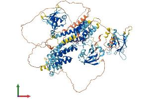 Protein Structure (PS) image for Ras Association and DIL Domains (Radil) (AA 1-1075) protein (His tag) (ABIN7555116)