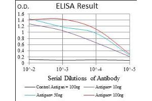 Black line: Control Antigen (100 ng), Purple line: Antigen(10 ng), Blue line: Antigen (50 ng), Red line: Antigen (100 ng), (FLIP 抗体  (AA 100-251))