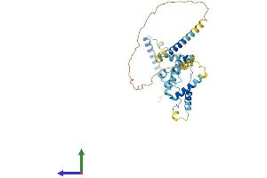 Protein Structure (PS) image for Small Nuclear Ribonucleoprotein 48kDa (U11/U12) (SNRNP48) (AA 1-339) protein (His tag) (ABIN7546215)