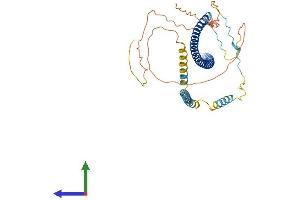 Protein Structure (PS) image for Polymerase I and Transcript Release Factor (PTRF) (AA 1-392) protein (His tag) (ABIN7562402)