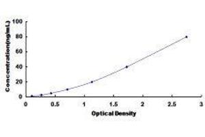 Glycoprotein V (Platelet) (GP5) ELISA Kit